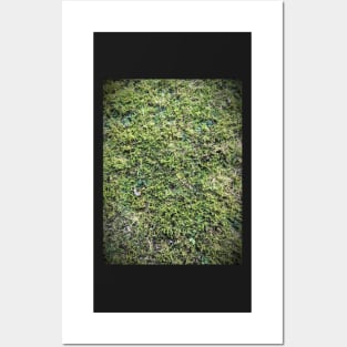 Mossy Posters and Art